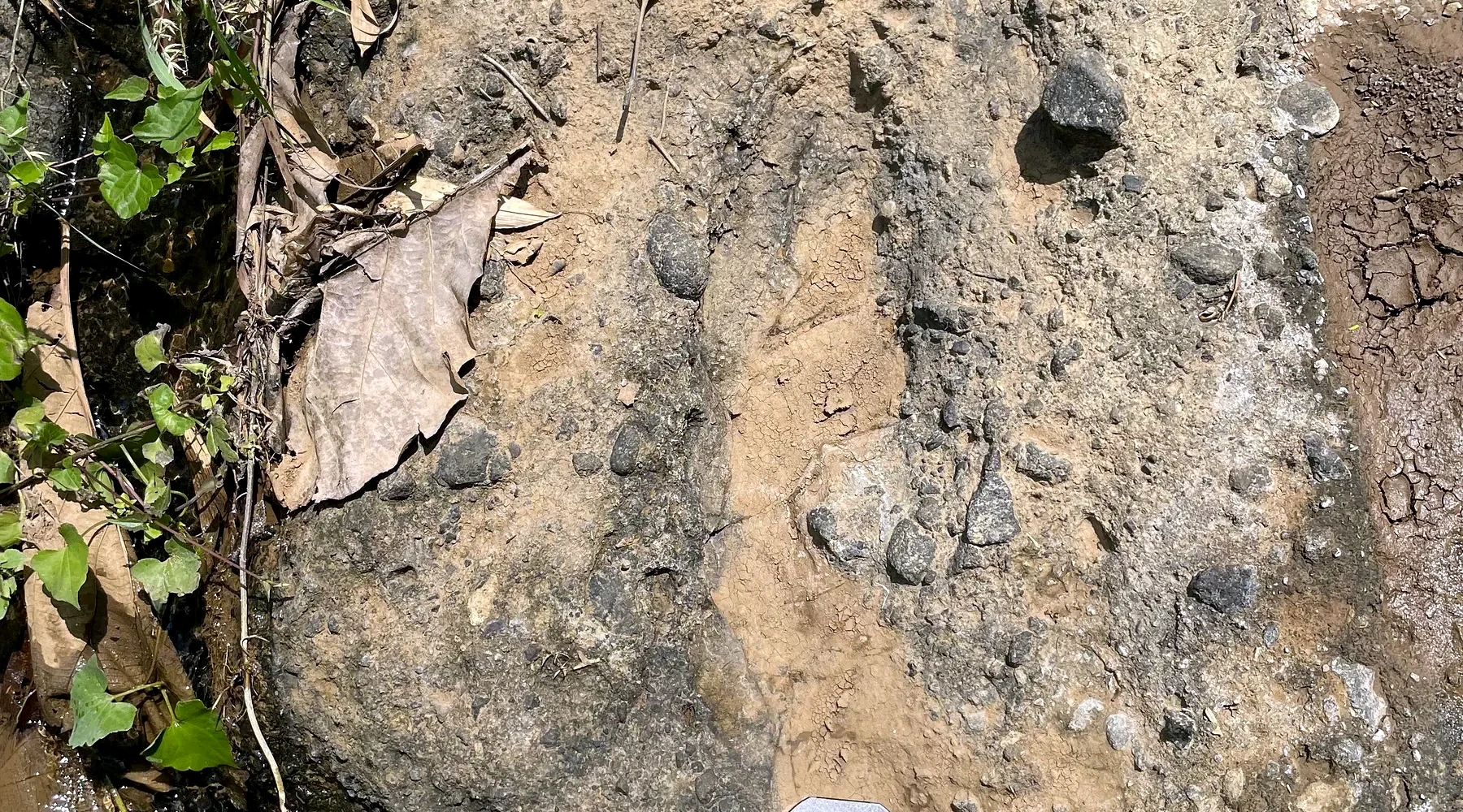 Kumbang Formation — Volcaniclastic Breccia cover
