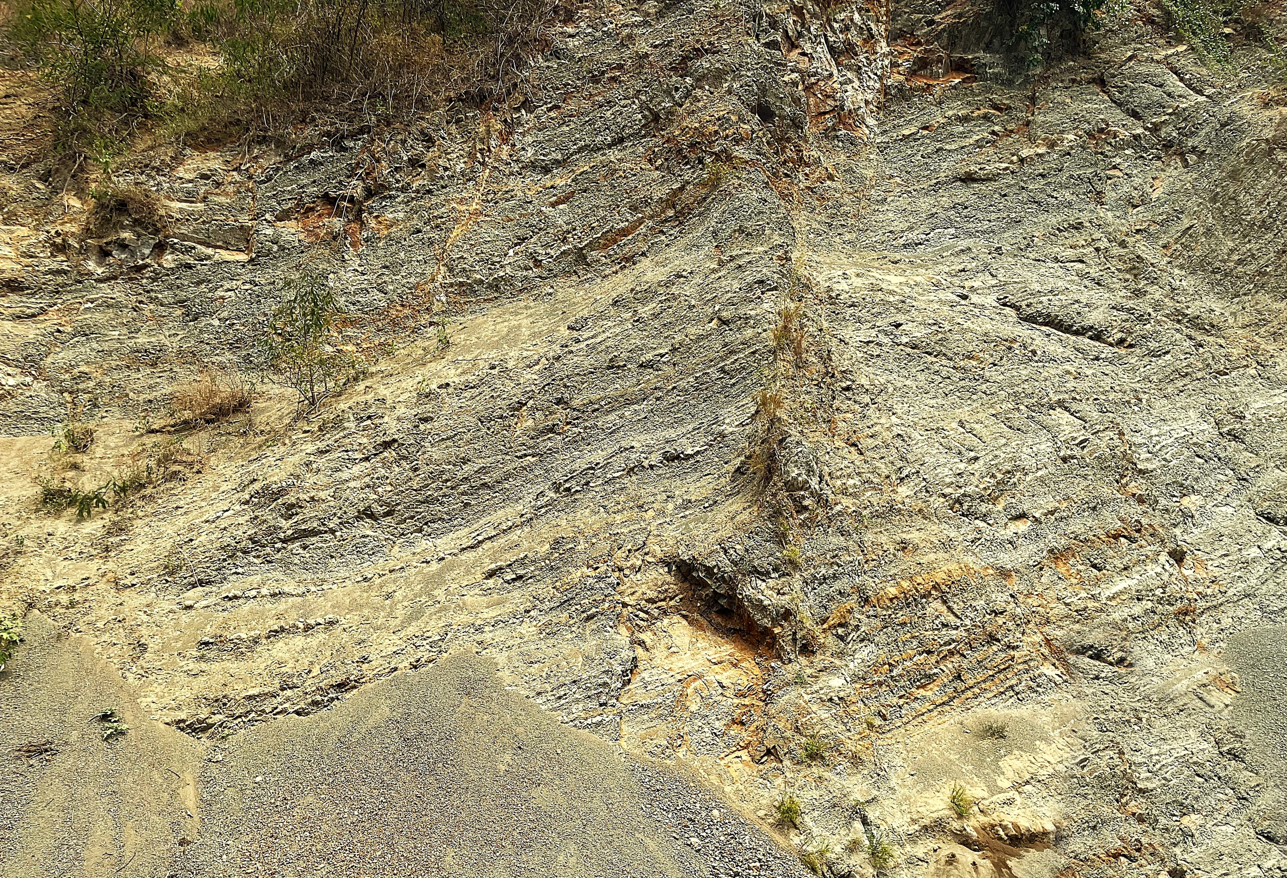 Tectonically deformed thin-bedded rock exposure used as the homepage hero