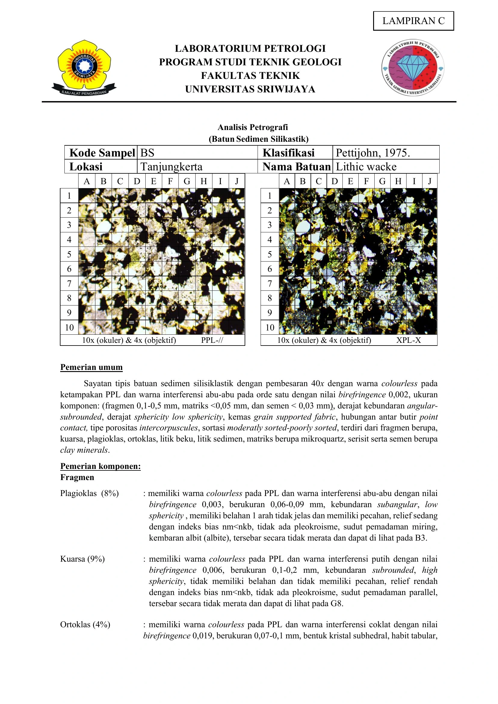 Petrography — Sheet 17