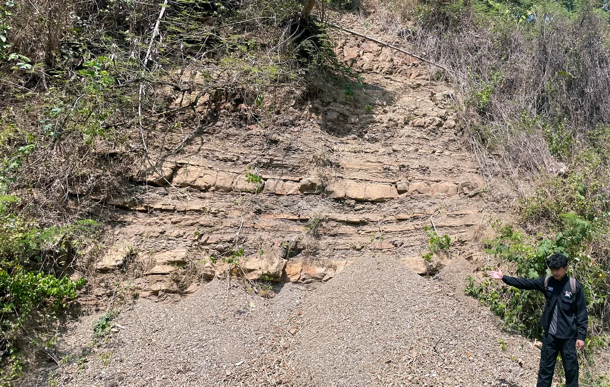 Thin- to medium-bedded clastic interbeds