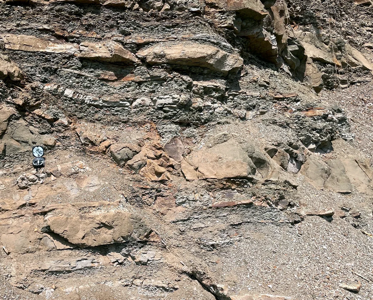 Fault-proximal disruption of Halang interbeds