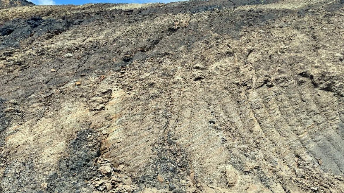 Interbedded fine sandstone and claystone