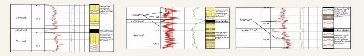 Electrofacies — A2–B1 interburden