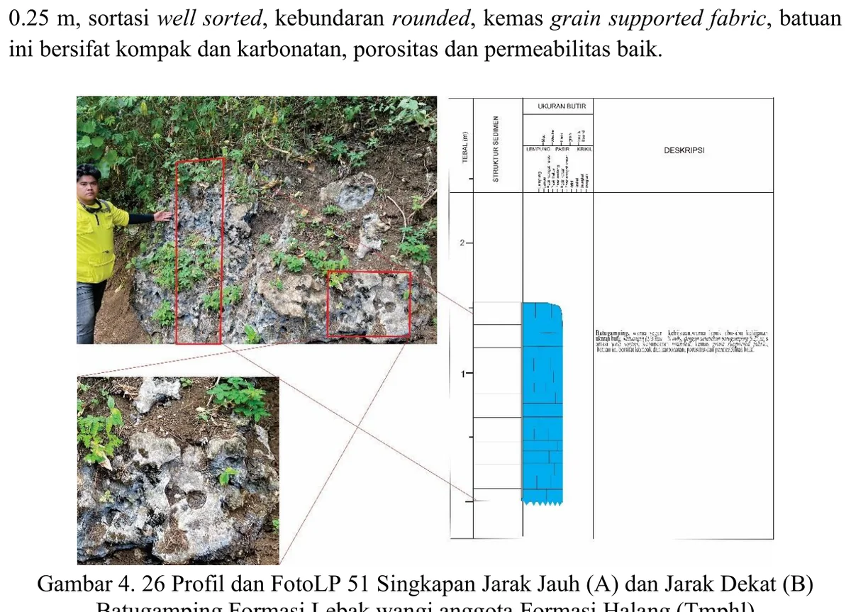 LP51 limestone outcrop