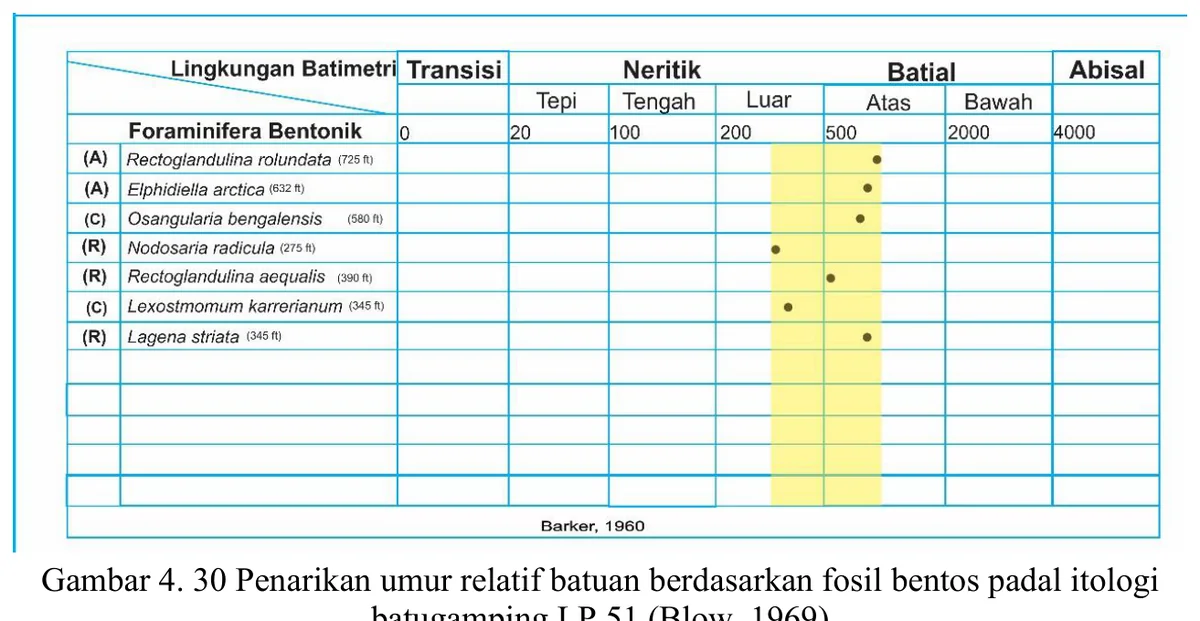 Palaeobathymetric chart for LP51 limestone