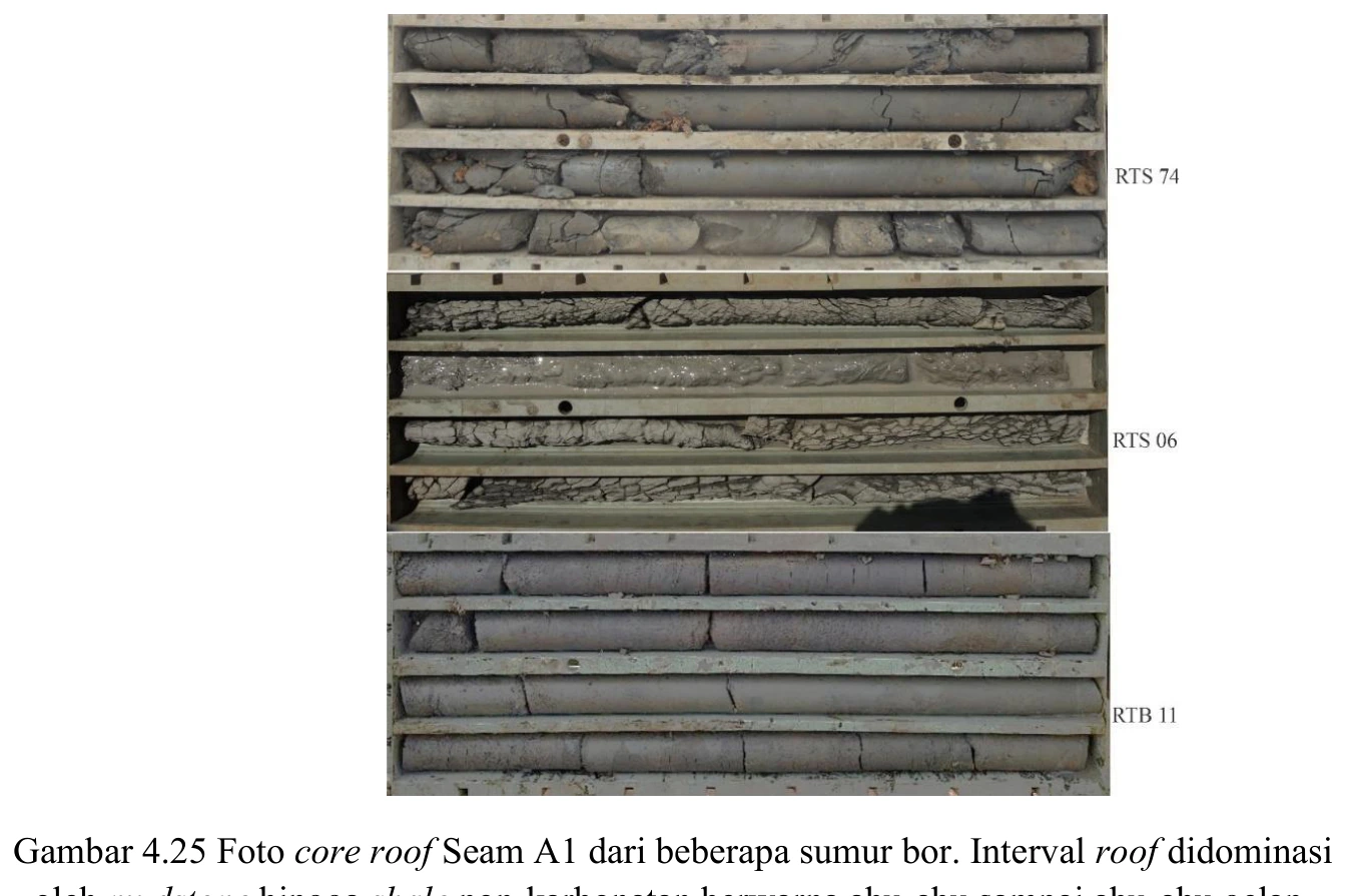 Core photographs — roof of Seam A1