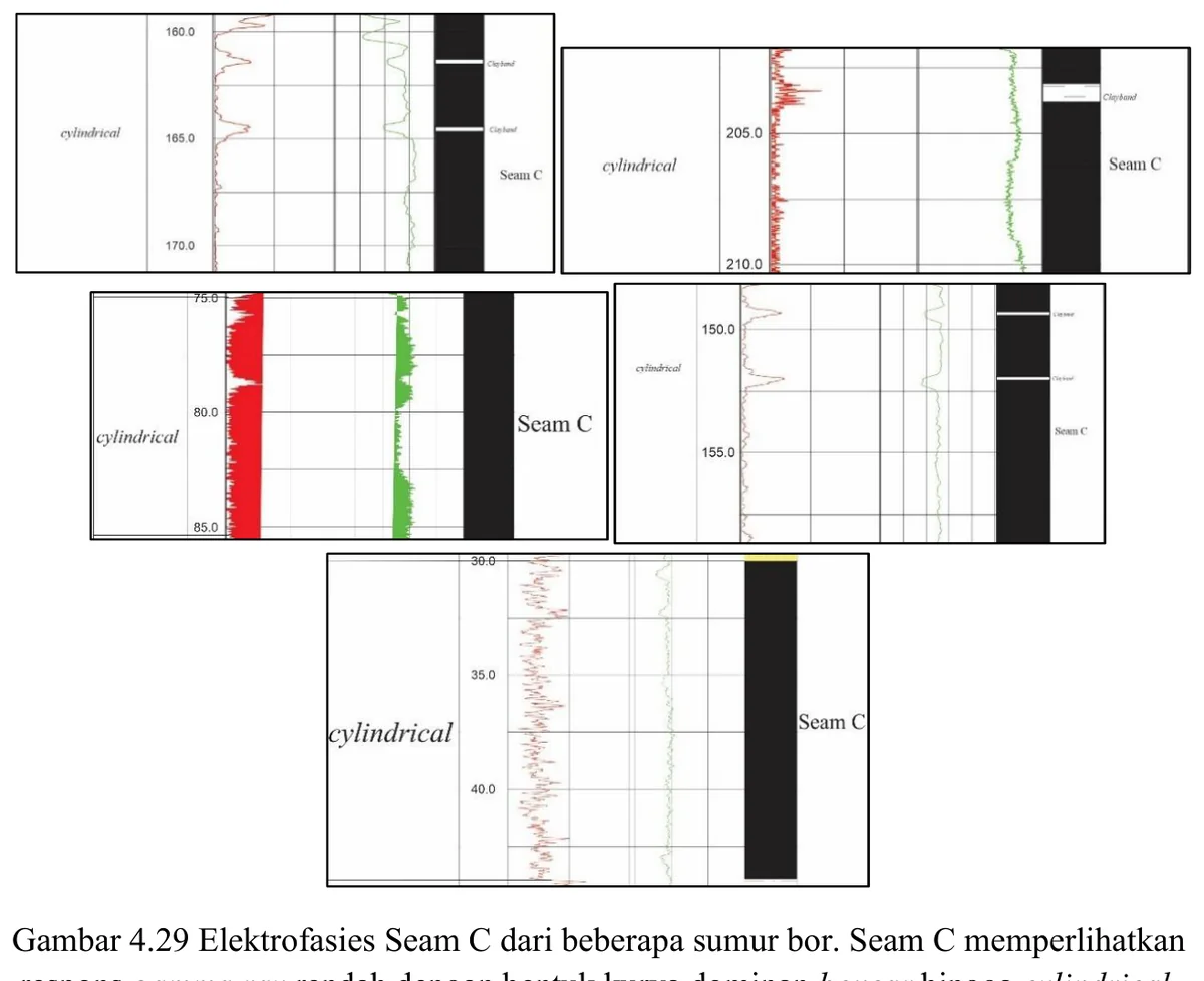 Electrofacies — Seam C