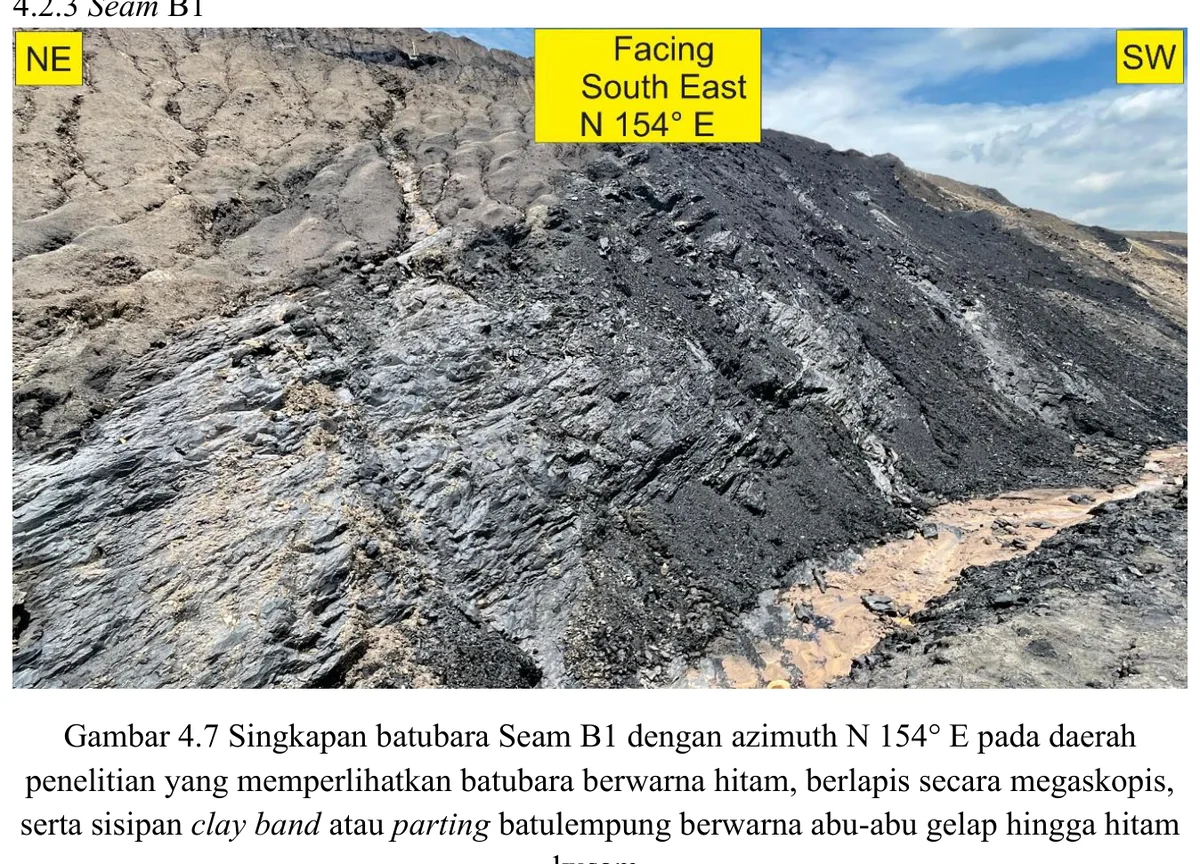 Coal outcrop — Seam B1